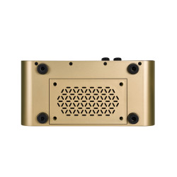 MOOER AMPLI F15I LI 15W DORE