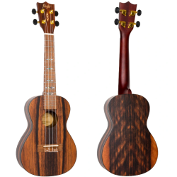 FLIGHT DUC460 CONCERT AMARA + HOUSSE