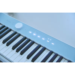 CASIO PX-S1100 CB CALM BLUE